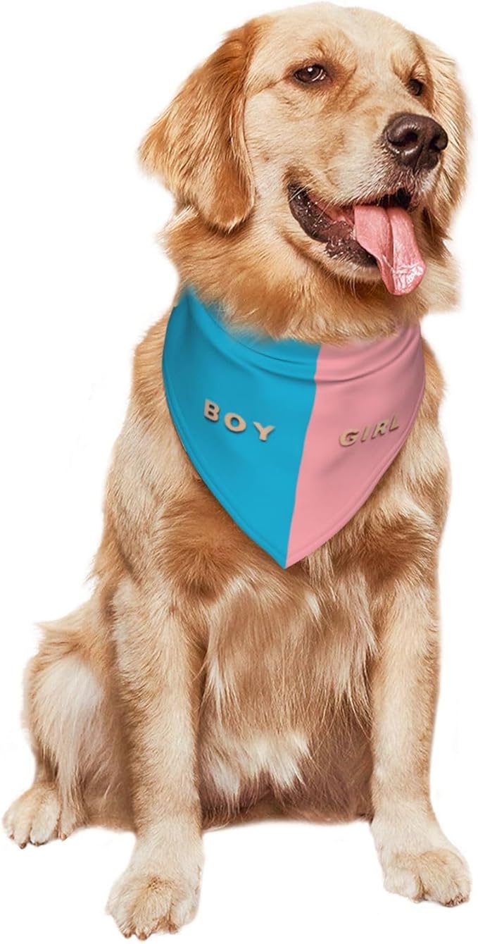 He Or She What Will It Be? Gender Reveal/Baby Announcement Dog Bandana,Pet Neckerchief for Pets Daily Wear Photo Prop Party Supplies (Three-Dimensional)