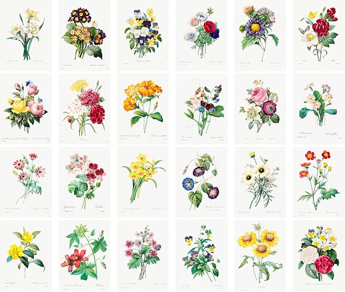 PIXILUV Vintage Postcards (24 pcs 4"x6" each) Flowers Bouquets Wildflowers Vintage Botannical Books Illustrations by Redoute Retro Notecards Greeting Card Reprint