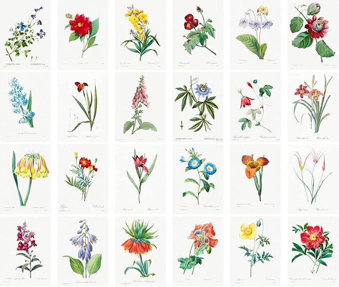 PIXILUV Vintage Postcards (24 pcs 4"x6" each) English Garden Flowers Wildflowers Vintage Botannical Books Illustrations by Redoute Retro Notecards Greeting Card Reprint