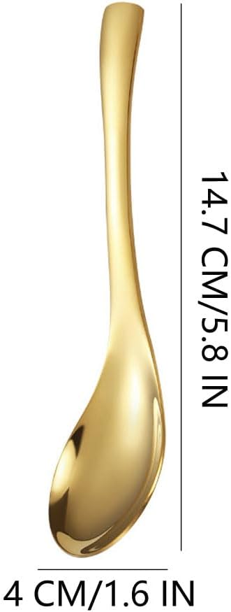 Stainless Steel Soup Spoon, Mirror Finish, Kitchen Serving & Dessert Spoon, Coffee & Ice Cream Spoons (5, Silver)