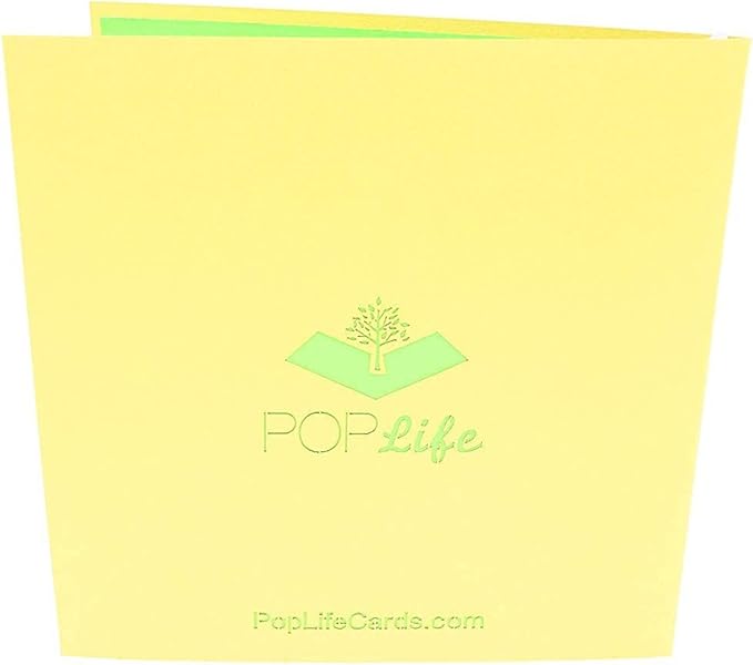 PopLife® Honey Bee 3D Pop Up Mother’s Day Card - Gardener’s Birthday, Happy Anniversary, Valentine's Day, Congratulations, Get Well Soon - for Wife, Mom, Grandma, Friend, Daughter, Sister