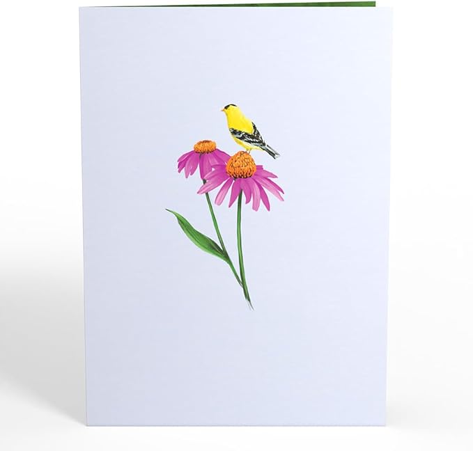 Lovepop Everyday Pop-Up Card for Her and Him - 3D Greeting Cards for Boys, Girls, Men, Women - Summer Welcome - 5" x 7" Card - Blank Notecard & Envelope Included