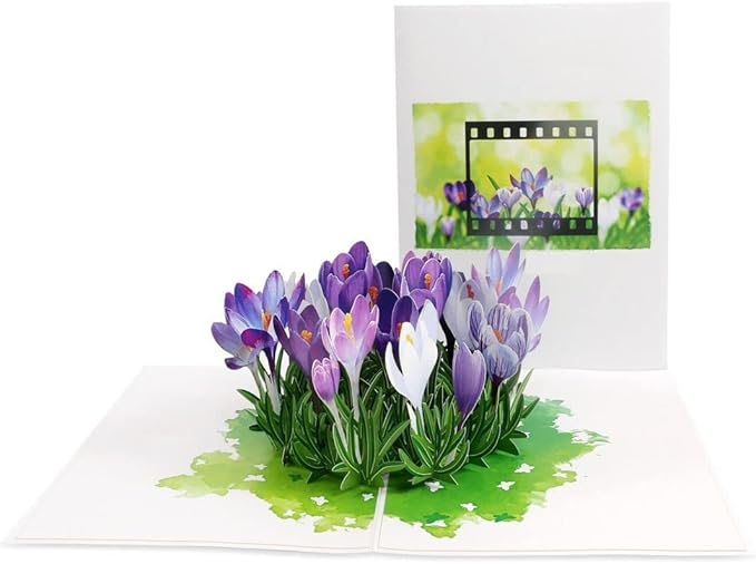 ETA 3D Pop Up Greeting Card – Purple Crocus Flowers in Bloom, Handmade Paper Art for Birthday, Mother’s Day, Spring, Thank You & Garden Lover Gift with Envelope F37