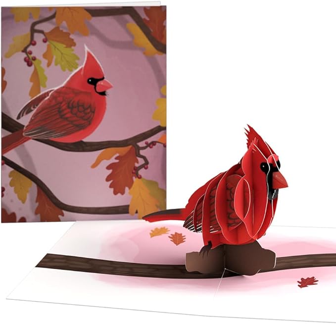 Lovepop Everyday Fall Birds Box Set (Assorted 12-Pack) Pop-Up Card for Her and Him - 3D Greeting Cards for Boys, Girls, Men, Women - 4.5" x 5.9" Paperpop Card - Envelope Included