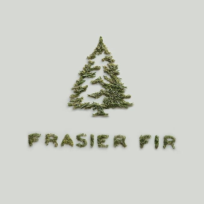 Thymes Frasier Fir Fragrant Refresher Oil - Aromatherapy Oil - Long Lasting Scent (1 fl oz)