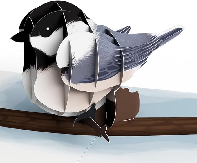 Lovepop Everyday Fall Birds Box Set (Assorted 12-Pack) Pop-Up Card for Her and Him - 3D Greeting Cards for Boys, Girls, Men, Women - 4.5" x 5.9" Paperpop Card - Envelope Included
