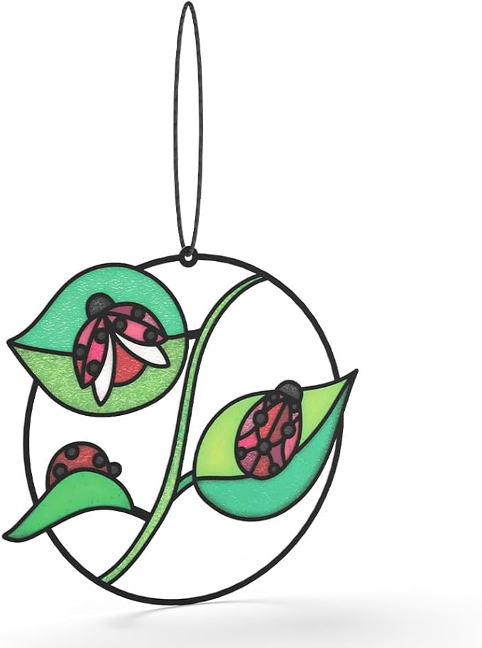 Lovepop Everyday Suncatcher Card for Her and Him - 3D Greeting Cards for Boys, Girls, Men, Women - Small Things with Big Meaning Ladybug - 5" x 7" Card - Blank Notecard & Envelope Included