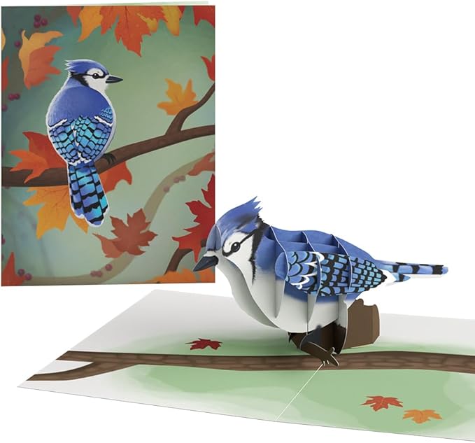 Lovepop Everyday Fall Birds Box Set (Assorted 12-Pack) Pop-Up Card for Her and Him - 3D Greeting Cards for Boys, Girls, Men, Women - 4.5" x 5.9" Paperpop Card - Envelope Included