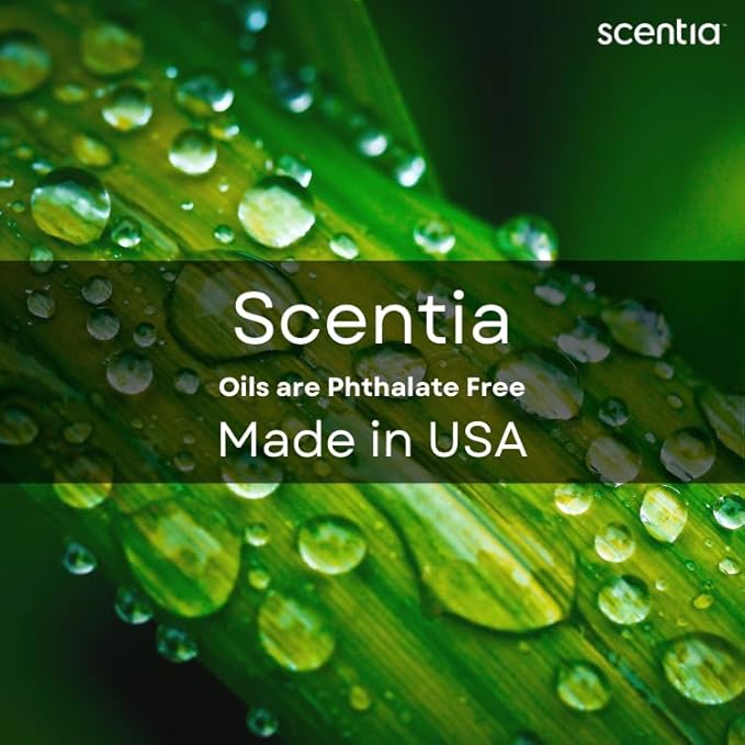 Scentia Pine Frost Essential Oil – 50ml Christmas Diffuser Oil | Crisp Winter Blend with Fir, Pine, Citrus & Vanilla | Holiday Aromatherapy for Gifting, Candles & DIY Soaps