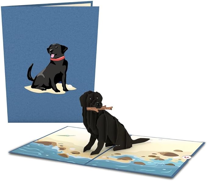 Lovepop Black Lab 3-D Pop-Up Greeting Card