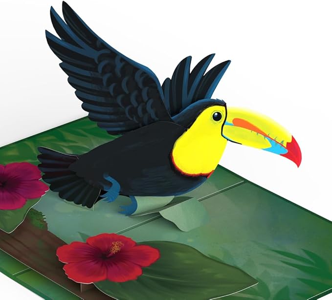Lovepop Everyday Pop-Up Card for Her and Him - 3D Greeting Cards for Boys, Girls, Men, Women - Rainforest Toucan - 5" x 7" Bird Card - Blank Notecard and Envelope Included