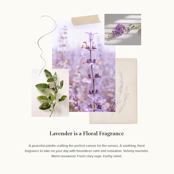 Thymes Home Fragrance Mist – Room Air Fresheners for Home Long Lasting – Air Freshener Spray – Scented Room Spray with Notes of Velvety Lavender, Rosewood, Clary Sage, & Earthy Violet (Lavender, 3 oz)