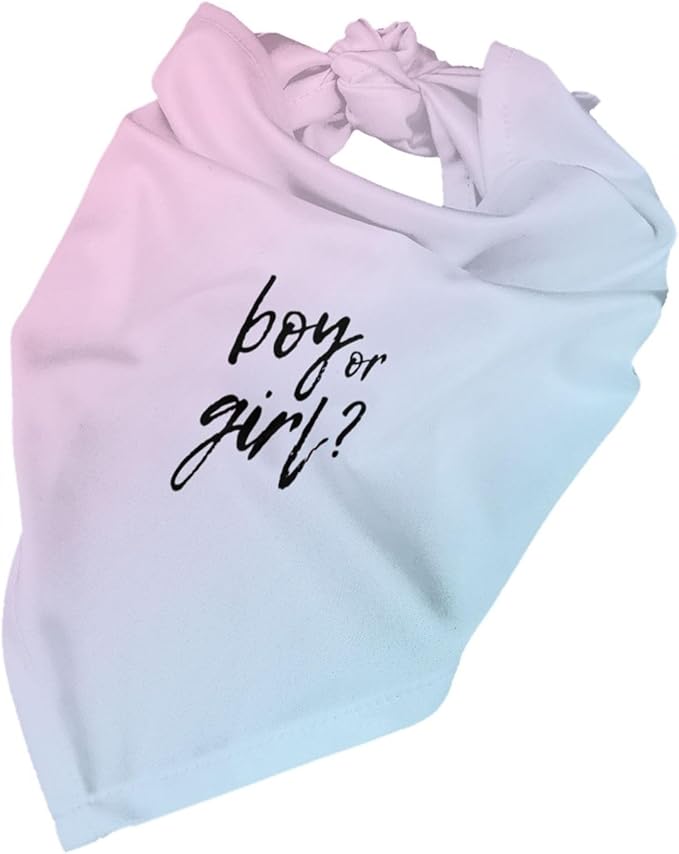 He Or She What Will It Be? Gender Reveal/Baby Announcement Dog Bandana,Pet Neckerchief for Pets Daily Wear Photo Prop Party Supplies (Gradient)