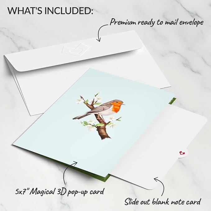 Lovepop Everday Pop-Up Card for Her and Him - 3D Spring Greeting Cards for Boys, Girls, Men, Women - Welcome - 5" x 7" Card - Blank Note Card & Envelope Included