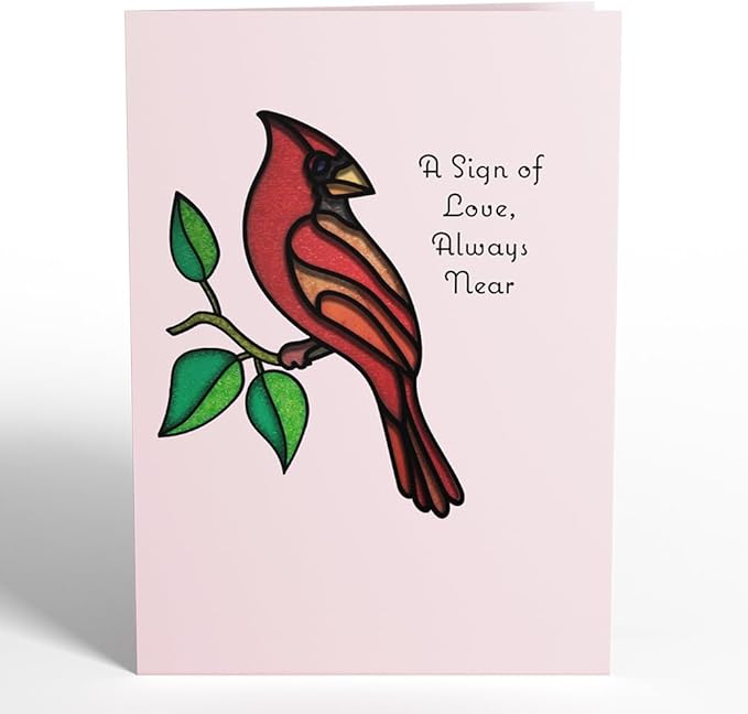 Lovepop Everyday Suncatcher Card for Her and Him - 3D Greeting Cards for Boys, Girls, Men, Women - Sign of Love - 5" x 7" Cardinal Card - Blank Notecard and Envelope Included