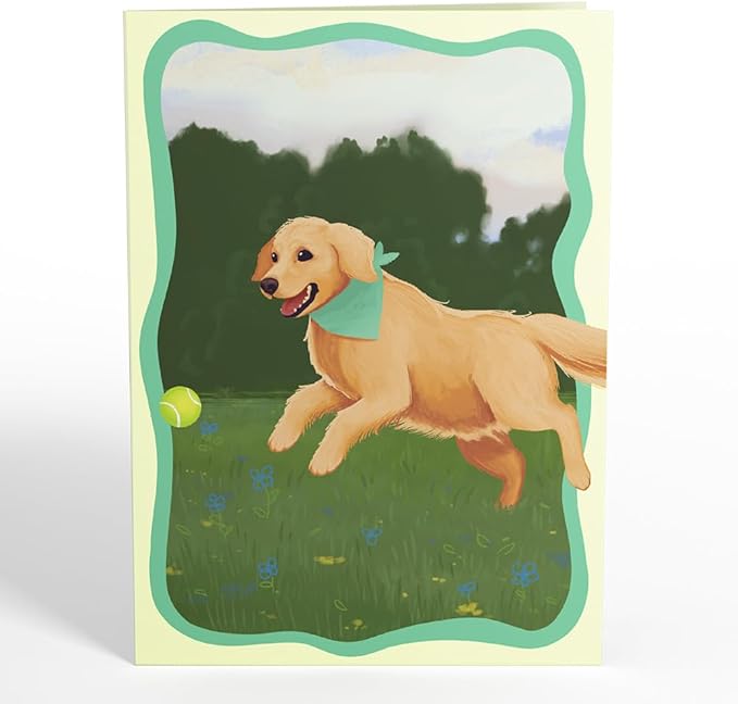 Lovepop Everyday Pop-Up Card for Her and Him - 3D Greeting Cards for Boys, Girls, Men, Women - Playful Golden Retriever - 5" x 7" Card - Blank Notecard and Envelope Included