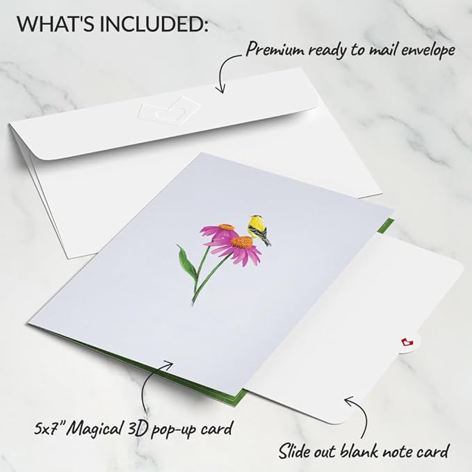 Lovepop Everyday Pop-Up Card for Her and Him - 3D Greeting Cards for Boys, Girls, Men, Women - Summer Welcome - 5" x 7" Card - Blank Notecard & Envelope Included