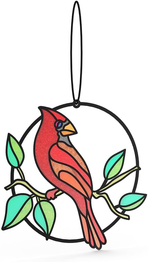 Lovepop Everyday Suncatcher Card for Her and Him - 3D Greeting Cards for Boys, Girls, Men, Women - Sign of Love - 5" x 7" Cardinal Card - Blank Notecard and Envelope Included