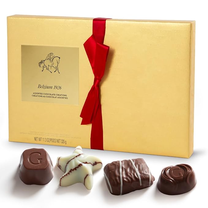 Gourmet Chocolate Gift Box, 27 Chocolates Pack of Premium Belgium Assorted Chocolate, Ideal for Gift Basket and Holiday Celebrations 11.3 OZ