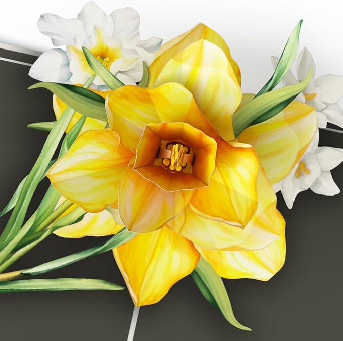Lovepop Birthday Pop-Up Card for Her and Him - 3D Greeting Cards for Boys, Girls, Men, Women - Born to Bloom: March Birth Month Flowers - 5" x 7" Card - Blank Note Card & Envelope Included