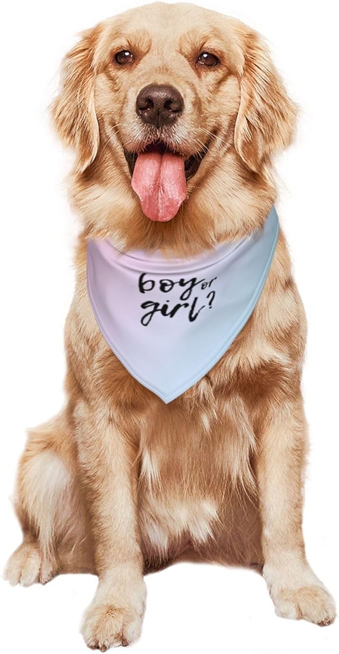He Or She What Will It Be? Gender Reveal/Baby Announcement Dog Bandana,Pet Neckerchief for Pets Daily Wear Photo Prop Party Supplies (Gradient)
