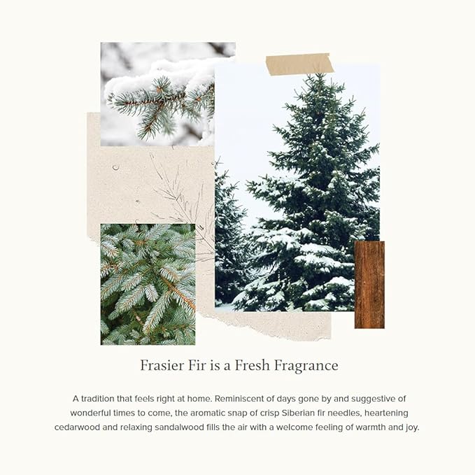 Thymes Frasier Fir Candle – Pine Needle Design – Holiday Scented Candle – Notes of Crisp Siberian Fir, Cedarwood & Sandalwood – Luxury Home Fragrance Gifts for Women & Men – Silver (Statement, 2 oz)