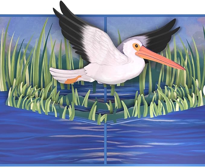 Lovepop Everyday Pop-Up Card for Her and Him - 3D Greeting Cards for Boys, Girls, Men, Women - Pelican in the Marsh - 5" x 7" Card - Blank Notecard and Envelope Included