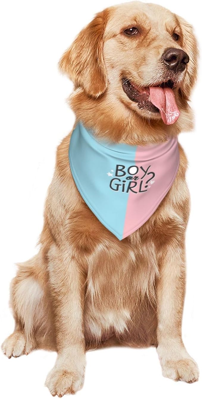He Or She What Will It Be? Gender Reveal/Baby Announcement Dog Bandana,Pet Neckerchief for Pets Daily Wear Photo Prop Party Supplies (boy or Girl-1)