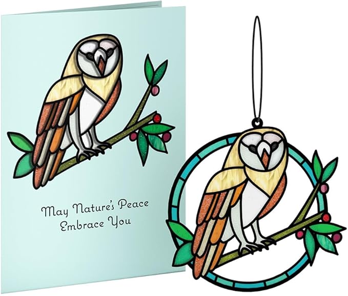 Lovepop Everyday Suncatcher Card for Her and Him - 3D Greeting Cards for Boys, Girls, Men, Women - Nature's Peace Owl - 5" x 7" Card - Blank Notecard & Envelope Included