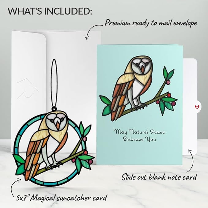 Lovepop Everyday Suncatcher Card for Her and Him - 3D Greeting Cards for Boys, Girls, Men, Women - Nature's Peace Owl - 5" x 7" Card - Blank Notecard & Envelope Included