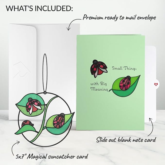 Lovepop Everyday Suncatcher Card for Her and Him - 3D Greeting Cards for Boys, Girls, Men, Women - Small Things with Big Meaning Ladybug - 5" x 7" Card - Blank Notecard & Envelope Included