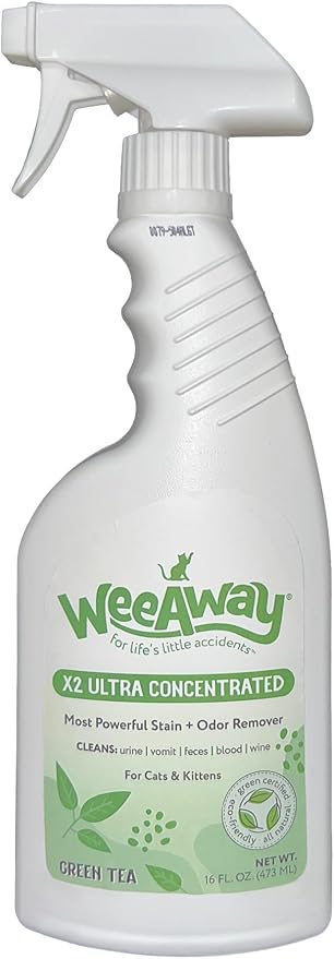Wee Away X2 Ultra-Concentrated Stain & Strong Odor Eliminator, Enzyme Cleaner, Pet Odor Eliminator for Home - Cat & Kitten Urine Destroyer - Carpet Cleaner Spray, Green Tea, 16 fl oz