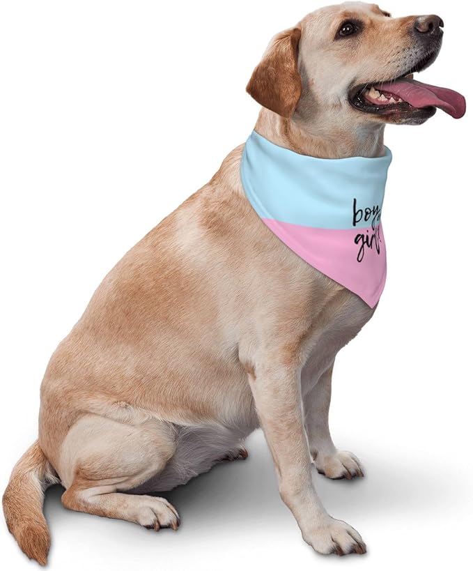 He Or She What Will It Be? Gender Reveal/Baby Announcement Dog Bandana,Pet Neckerchief for Pets Daily Wear Photo Prop Party Supplies (boy or Girl)
