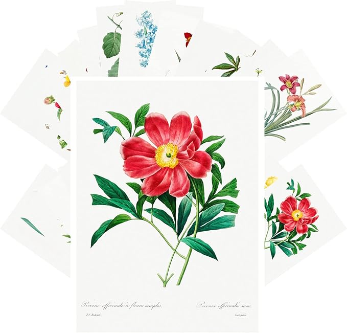 PIXILUV Vintage Postcards (24 pcs 4"x6" each) English Garden Flowers Wildflowers Vintage Botannical Books Illustrations by Redoute Retro Notecards Greeting Card Reprint