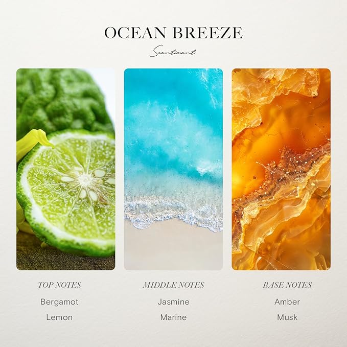 Scentiment Diffuser Oil - Ocean Breeze | Inspired by Five Star Hotels' Lobby Scent | Luxurious Scent with Notes of Bergamot, Lemon, Jasmine with Marine & Amber (50ml)