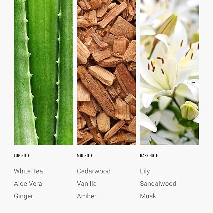 Hotel Scents Day Dream Diffuser Oil 500mL - Aromatherapy Fragrance Inspired by 5-Star Hotels - Notes of Aloe Vera, Ginger, White Tea - Inspired by Westin Hotels - Luxury Home Scents Refill