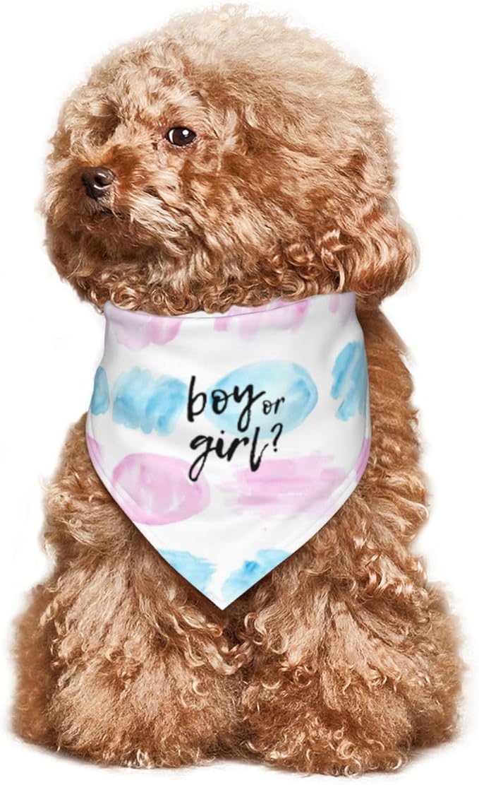 He Or She What Will It Be? Gender Reveal/Baby Announcement Dog Bandana,Pet Neckerchief for Pets Daily Wear Photo Prop Party Supplies (Color Block-1)