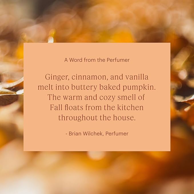 Aera Mini Pumpkin Spice Home Fragrance Scent Refill - Notes of Pumpkin, Clove and Vanilla - Works with Aera Mini Diffuser - Limited Edition
