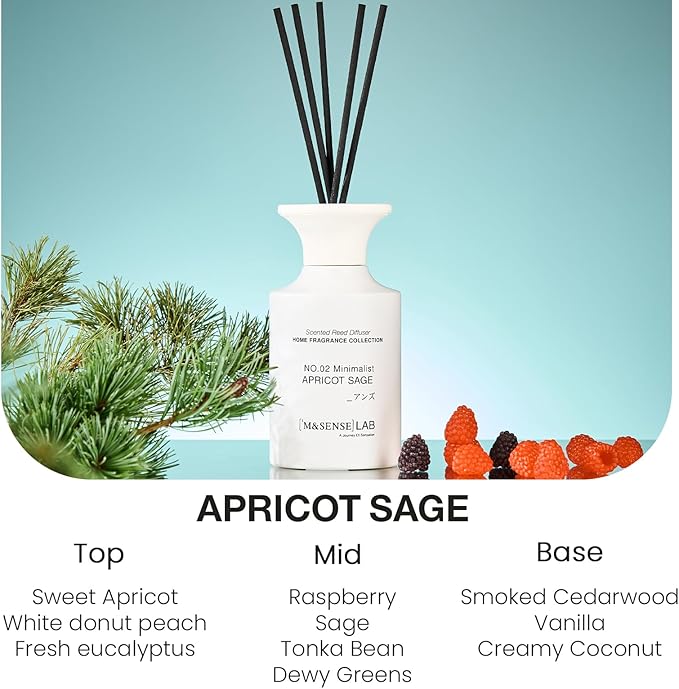 M&SENSE Reed Diffuser Set, 10.14 fl oz Large Reed Diffuser, Apricot Sage Scented with Natural Essential Oils, Long Lasting with 7 Sticks, Non-Toxic Home Fragrance Reed Diffuser for Bedroom, Bathroom