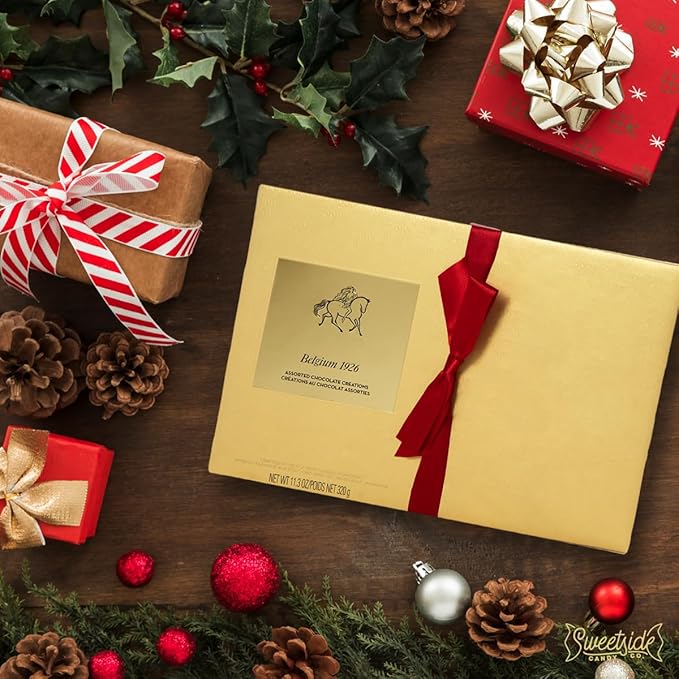 Gourmet Chocolate Gift Box, 27 Chocolates Pack of Premium Belgium Assorted Chocolate, Ideal for Gift Basket and Holiday Celebrations 11.3 OZ