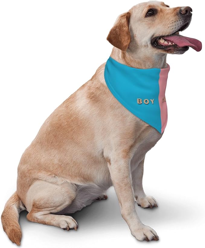 He Or She What Will It Be? Gender Reveal/Baby Announcement Dog Bandana,Pet Neckerchief for Pets Daily Wear Photo Prop Party Supplies (Three-Dimensional)