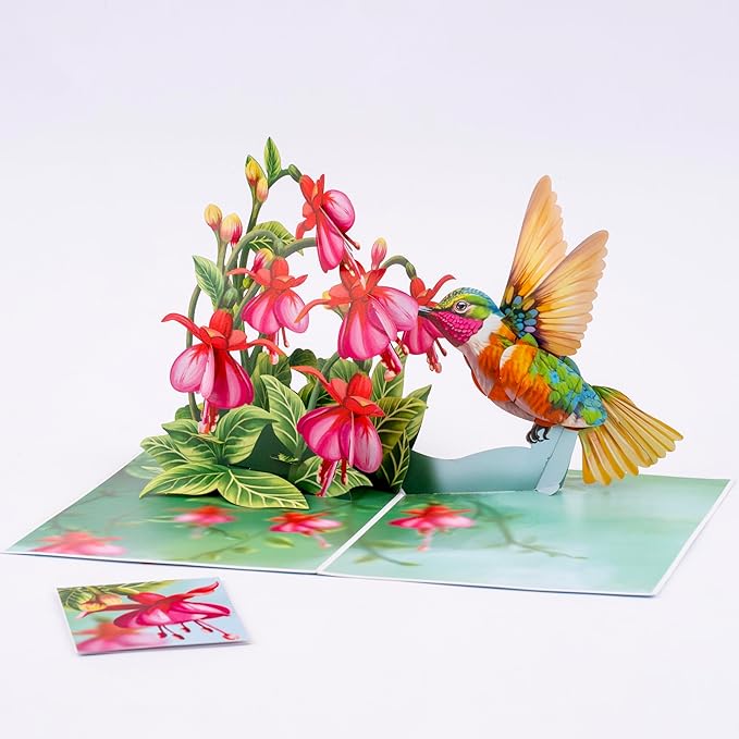 Humming Bird Pop Up Card, Fuchsia, 3D Popup Greeting Cards, Gift For Birthday, Mothers Day, Anniversary, Valentines, Thinking Of You, Thank You, 5x7 - Includes Envelope And Message Note