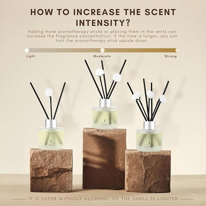 Brakula 2 Pack Reed Diffuser Set, Bamboo Scented, Home Fragrance with 14 Sticks Bathroom Decor, Reed diffusers for Home 6.76 fl oz (Bamboo)