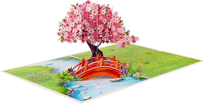 Cherry Blossom Pop Up Birthday Cards for Women, Anniversary Card, Mothers Day Cards, Valentines Day Card, 3D Gift for Her, Him, Husband, Wife, Mum, Dad (PQ Cherry Blossom w Bridge)