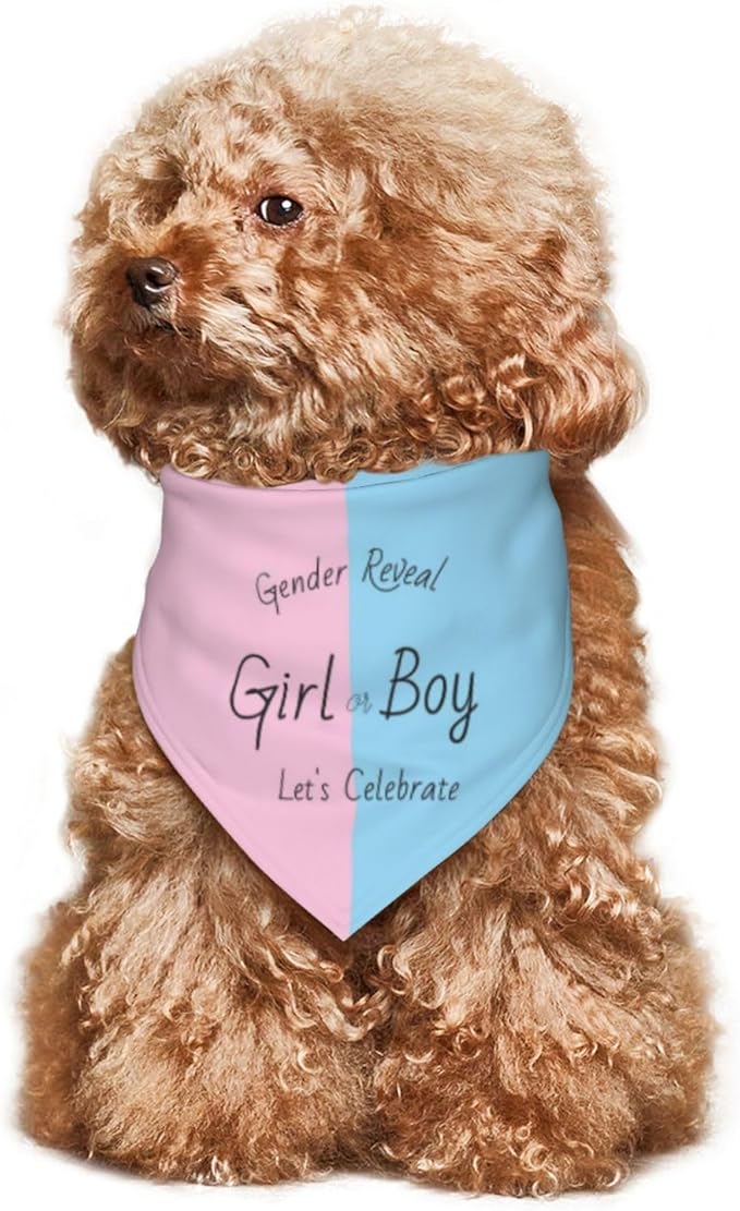 He Or She What Will It Be? Gender Reveal/Baby Announcement Dog Bandana,Pet Neckerchief for Pets Daily Wear Photo Prop Party Supplies (Gender Reveal)