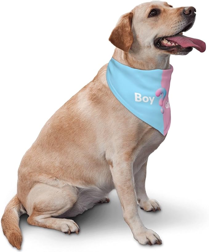 He Or She What Will It Be? Gender Reveal/Baby Announcement Dog Bandana,Pet Neckerchief for Pets Daily Wear Photo Prop Party Supplies (Three-Dimensional?)