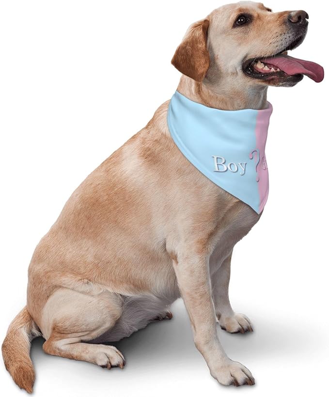 He Or She What Will It Be? Gender Reveal/Baby Announcement Dog Bandana,Pet Neckerchief for Pets Daily Wear Photo Prop Party Supplies (Blue)
