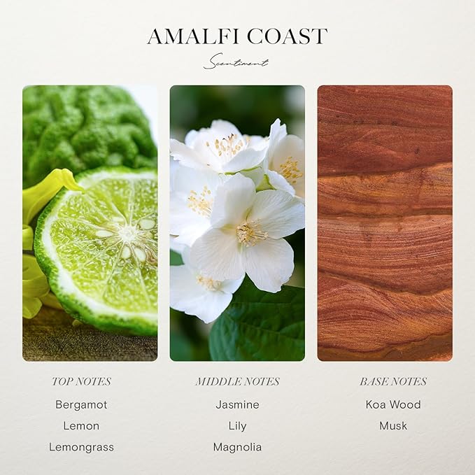 Scentiment Diffuser Oil - Amalfi Coast | Aromatherapy Fragrance | Inspired by Luxury Five Star Hotels | Notes of Bergamot, Lemongrass, Jasmine, Lily, Magnolia & Koa Wood (500 mL)