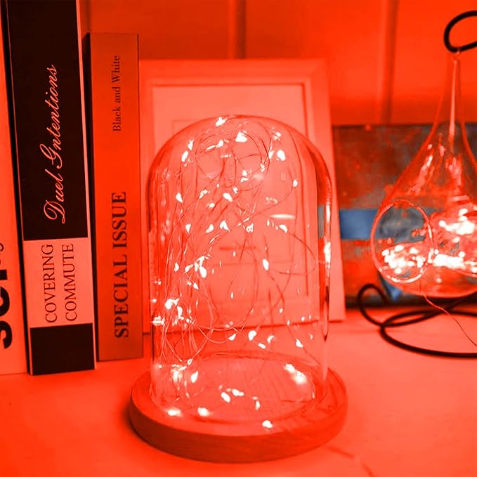 Yiaht 12 Pack Fairy Lights Battery Operated String Lights 7 Feet 20 Led Waterproof Christmas Lights Silver Wire Firefly Starry Moon Lights for Bedroom Red
