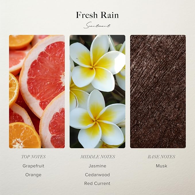 Scentiment Diffuser Oil - Fresh Rain | Aromatherapy Home Fragrance |Inspired by Luxury Five Star Hotels | Luxurious Scent with Notes of Fresh Grapefruit and Crisp Red Currant (120 mL)